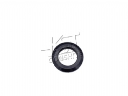 Dust ring