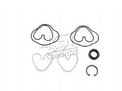 Hydraulic pump repair kit