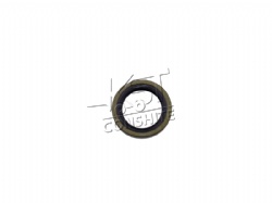 Oil seal