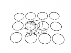Piston ring