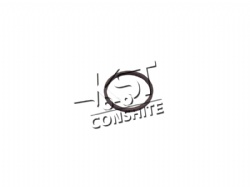 sealing ring
