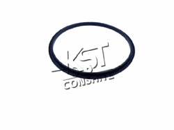 Drive oil seal