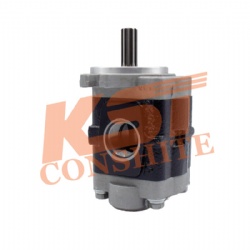 Hydraulic pump